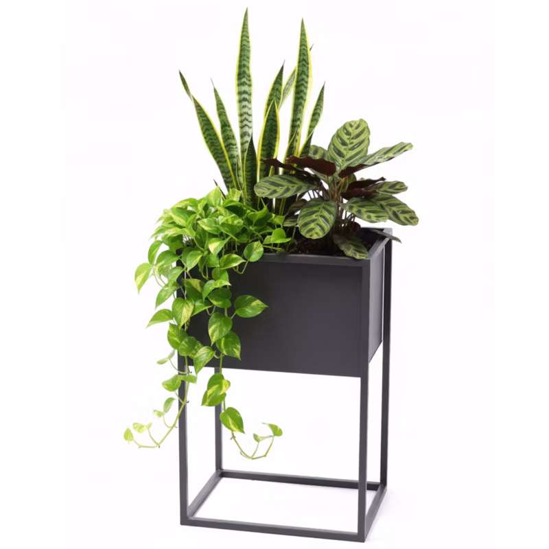 Kwietnik stojący JAKPOL Cubo Loft 60x40x30 cm metalowy szary 1 szt.