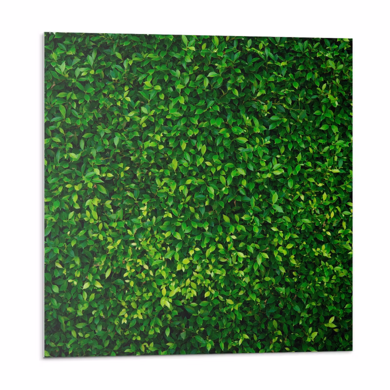 Kafelki samoprzylepne Wallfluent 30×30 cm Liściasta gęstwina 9 szt.